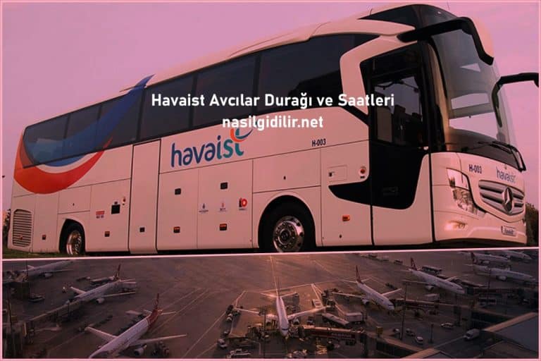 havaist avcılar duragı