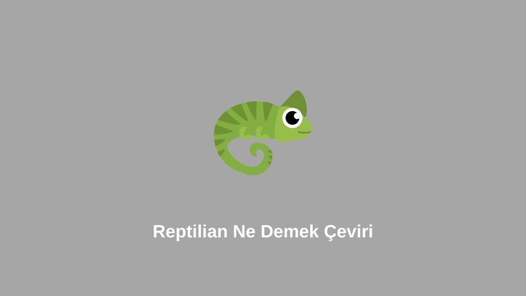 Reptilian Ne Demek Çeviri